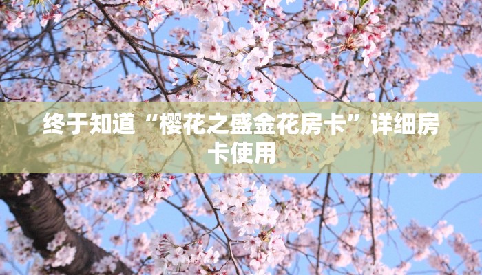 终于知道“樱花之盛金花房卡”详细房卡使用