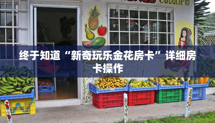使用分享德扑之星透视开挂(透视)功能”学会包赢