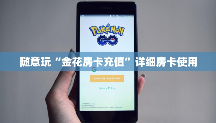 教程辅助wepoker作弊透视辅助教程(透视)-详细透视教程