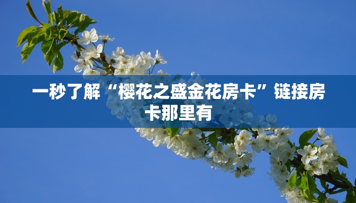 我来告诉你wepoker透视作弊使用教程-最新辅助详细教程
