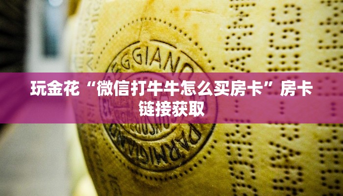 推荐一款德扑之星透视辅助-详细透视教程