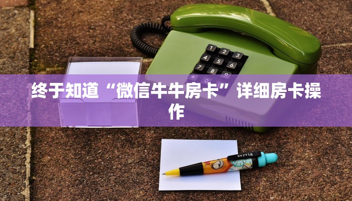 实测辅助德扑之星辅助器+透视挂-全程揭秘开挂教程