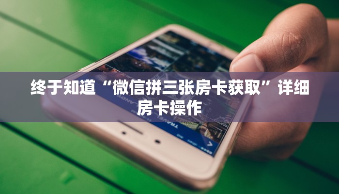 推荐一款“天天爱二十三张辅助器”(详细开挂教程)