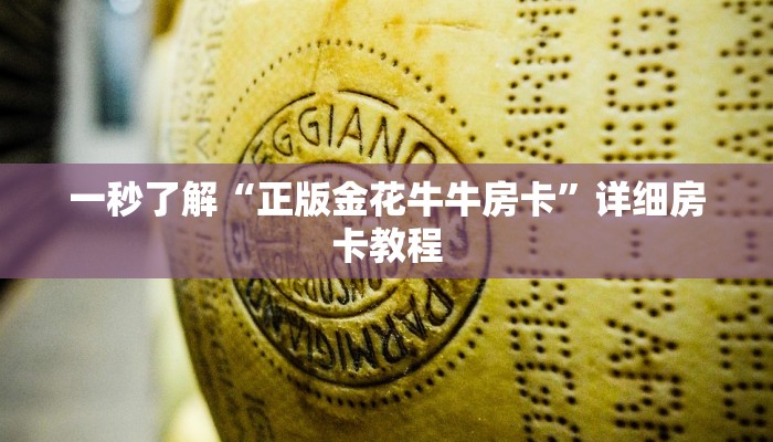 我来告诉你wepoker德州如何透视(作弊)辅助透视教程