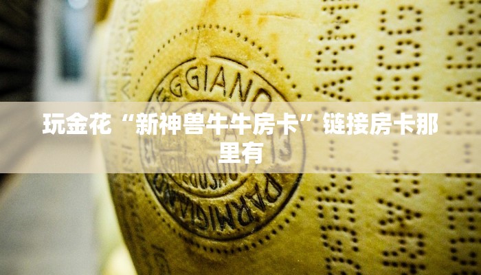强力推荐“手机十三张开挂神器-真实开挂技巧分享