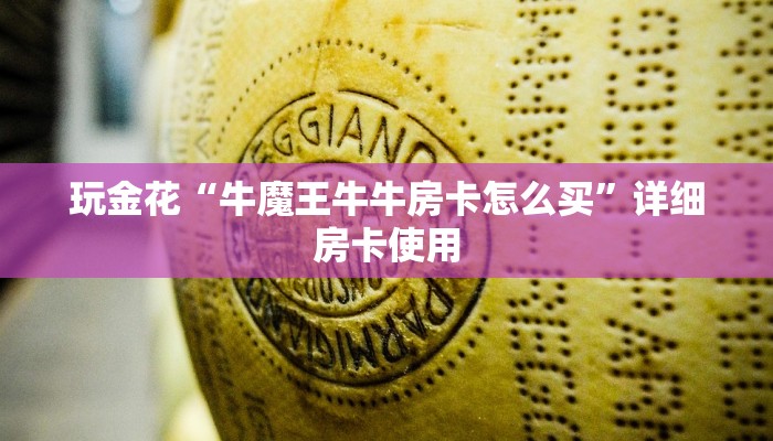 辅助神器wepoker德州局透视挂专用(辅助外挂+教程