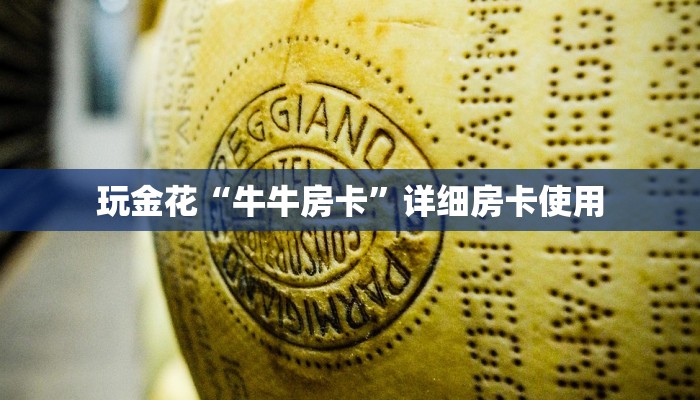 辅助神器新版wepoker透视(详细开挂教程