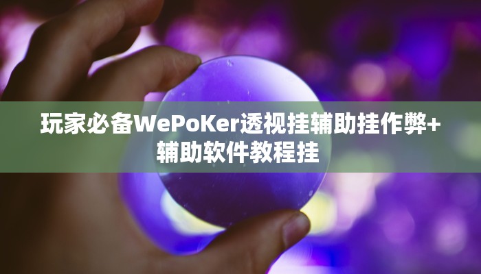 玩家必备WePoKer透视挂辅助挂作弊+辅助软件教程挂 