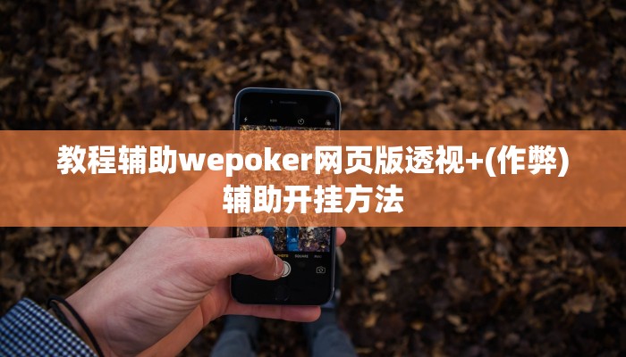 -分钟科普wepoker开挂作弊(辅助外挂+教程