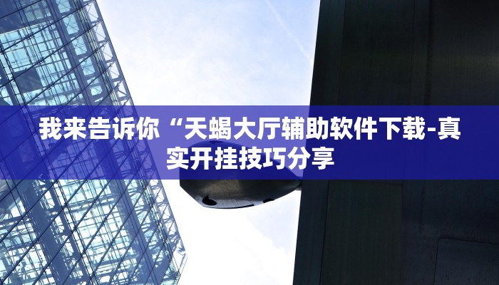 原来才知道wepokerplus透视挂(透视)详细教程