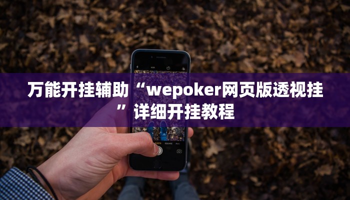 万能开挂辅助“wepoker网页版透视挂”详细开挂教程
