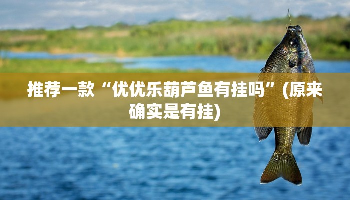-分钟科普wepoker作弊挂方法详细开挂教程