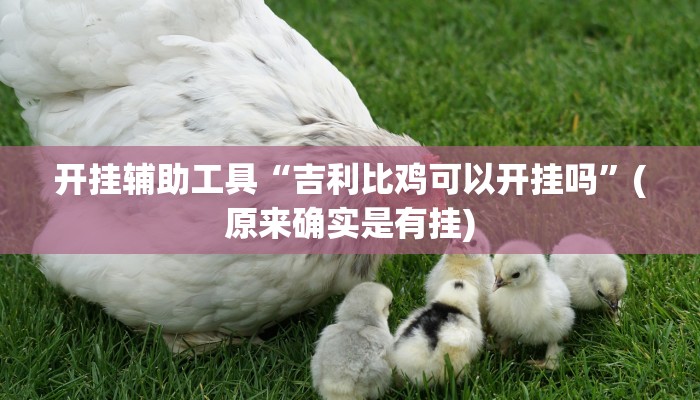 使用分享wepoKer是不是有透视挂(透视)功能”学会包赢
