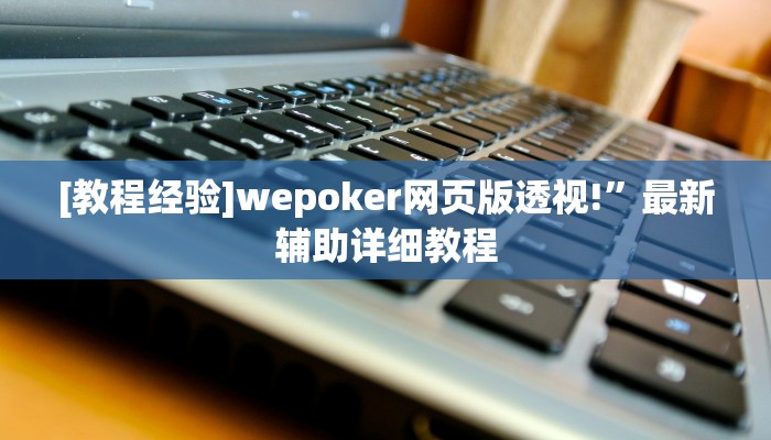 使用分享wepoker辅助作弊透视方法(透视)详细教程