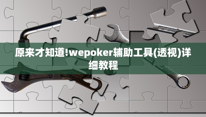 实测辅助有wepoker开挂吗(原来真的能开挂)