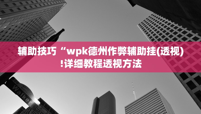 使用分享新版wepoker透视(透视)功能”学会包赢