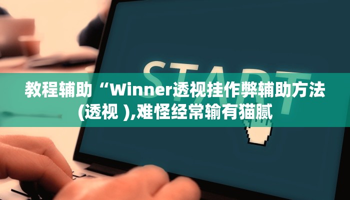 教程辅助“Winner透视挂作弊辅助方法(透视 ),难怪经常输有猫腻