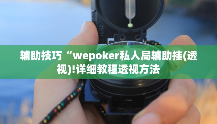 辅助神器wepoker私人局透视(原来真的能开挂)