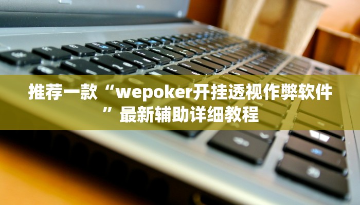 -分钟科普WEPoKeR透视辅助器详细开挂教程
