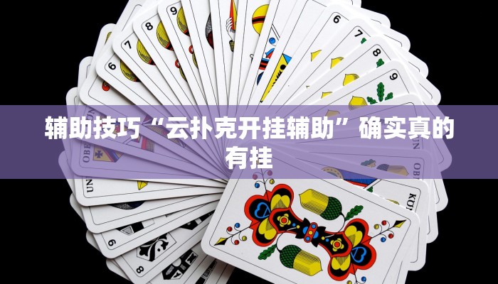 辅助神器wepoker透视挂真的假的(透视)功能”学会包赢