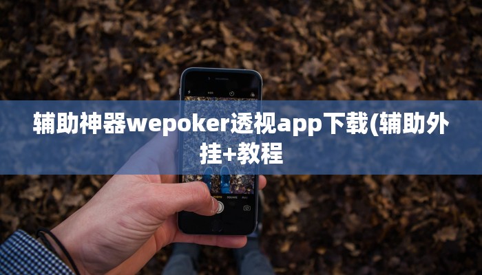 辅助神器wepoker德州开挂透视软件(原来真的能开挂)