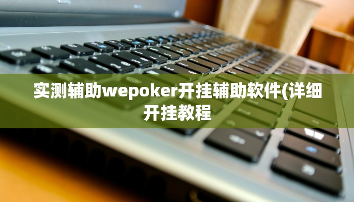 三分钟科普wepoker作弊辅助(详细开挂教程