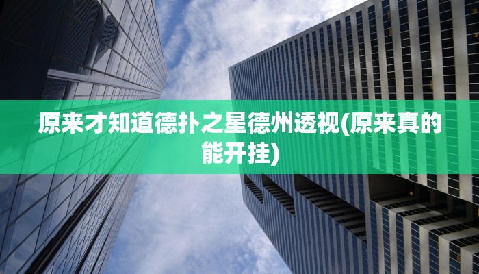辅助神器wepoker德州作弊详细(辅助外挂+教程