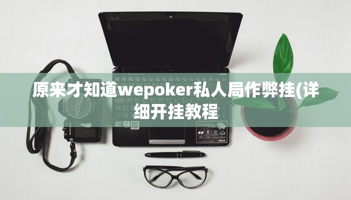 原来才知道wepoker私人局作弊挂(详细开挂教程