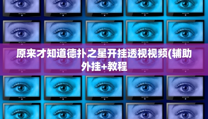 使用分享wepoker德州透视作弊挂(透视)功能”学会包赢