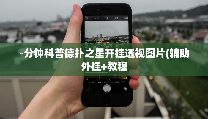 辅助神器wepoker透视破解版 (作弊)”附开挂脚本详细教学