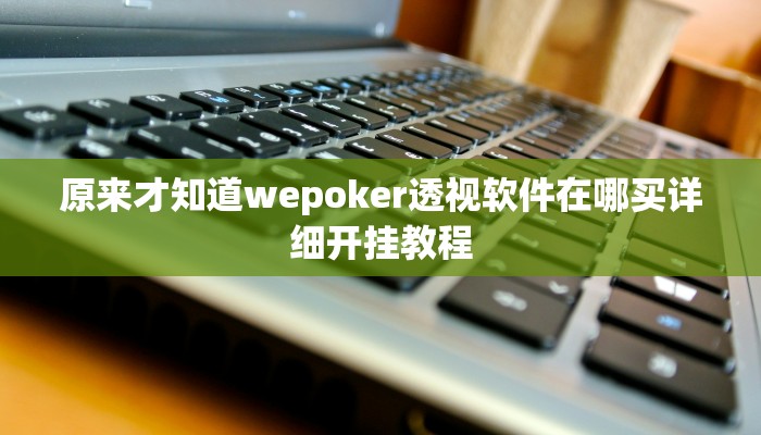 原来才知道wepoker透视软件在哪买详细开挂教程
