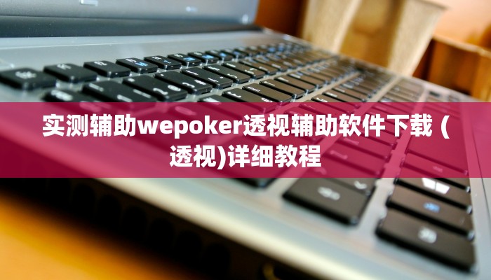 实测辅助wepoker透视辅助软件下载 (透视)详细教程