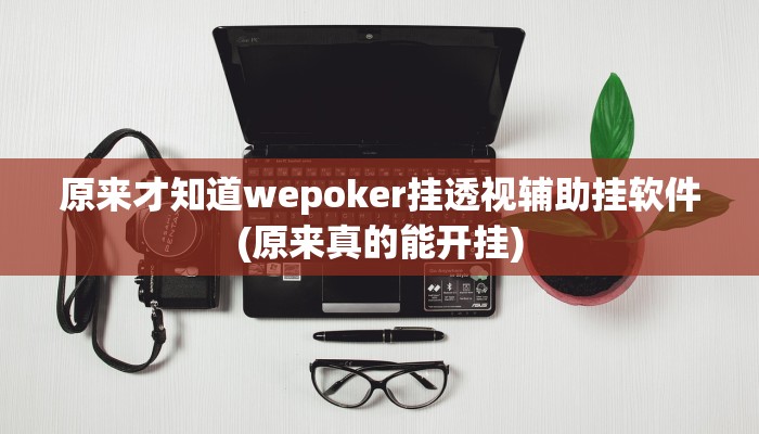 原来才知道wepoker挂透视辅助挂软件(原来真的能开挂)
