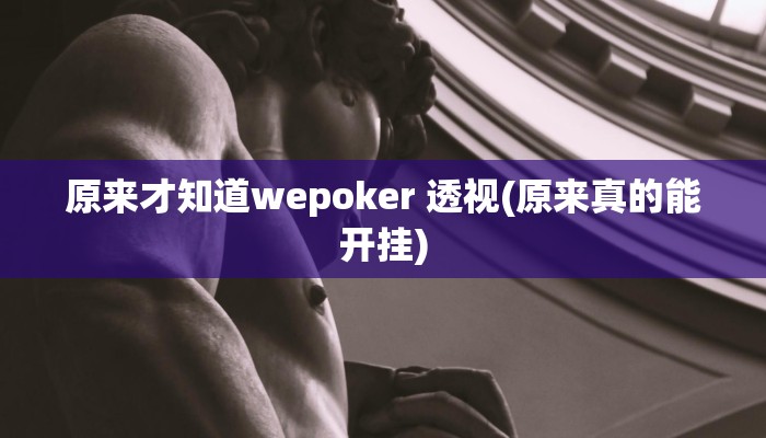 辅助神器wepoker有透视挂吗(原来真的能开挂)