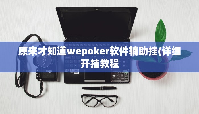 原来才知道wepoker软件辅助挂(详细开挂教程