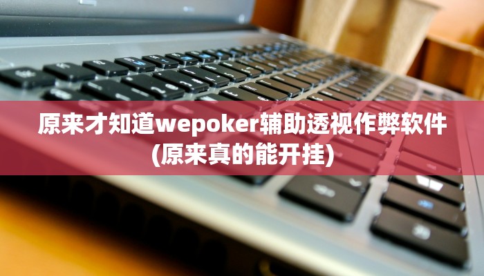 原来才知道wepoker可以透视吗详细开挂教程