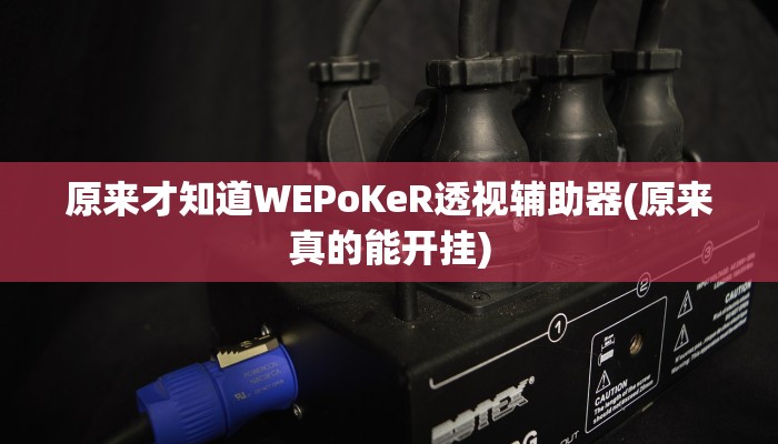 原来才知道WEPoKeR透视辅助器(原来真的能开挂)