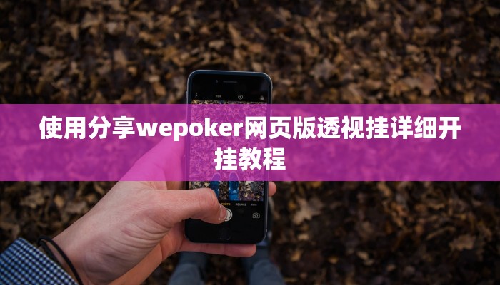 使用分享wepoker网页版透视挂详细开挂教程