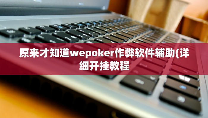 原来才知道wepoker作弊软件辅助(详细开挂教程