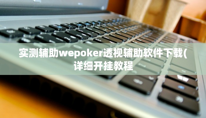 实测辅助wepoker透视辅助软件下载(详细开挂教程