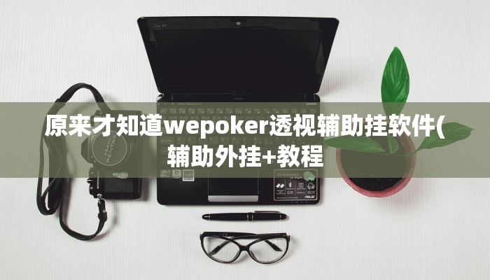 原来才知道wepoker透视辅助挂软件(辅助外挂+教程