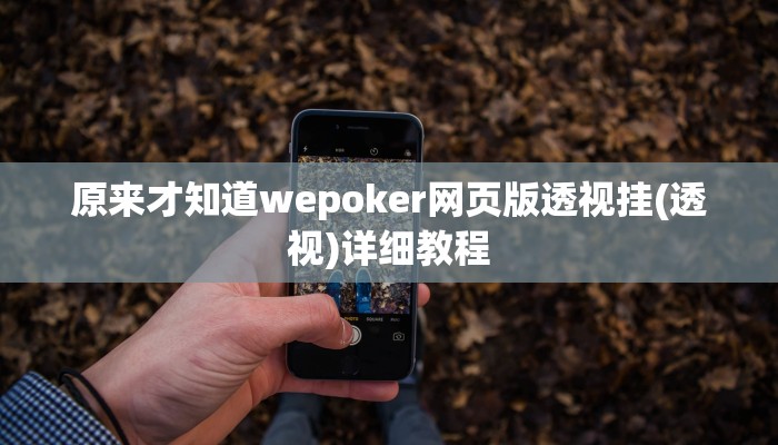 原来才知道wepoker网页版透视挂(透视)详细教程