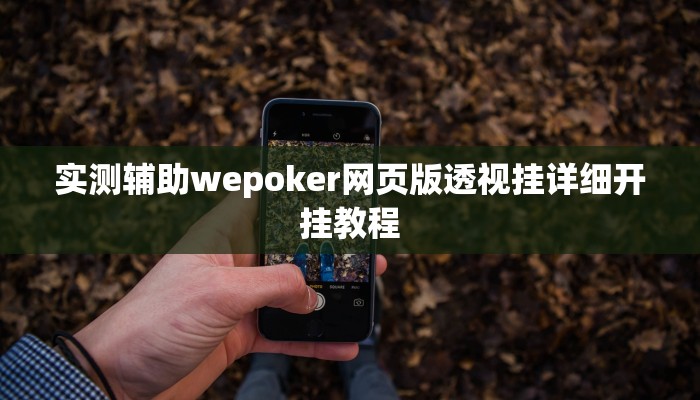 实测辅助wepoker网页版透视挂详细开挂教程