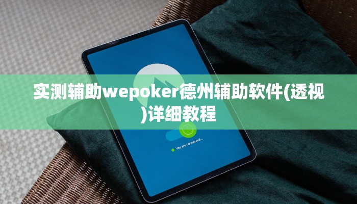 实测辅助wepoker德州辅助软件(透视)详细教程